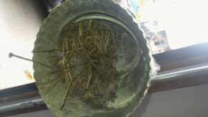 long-time-download-984